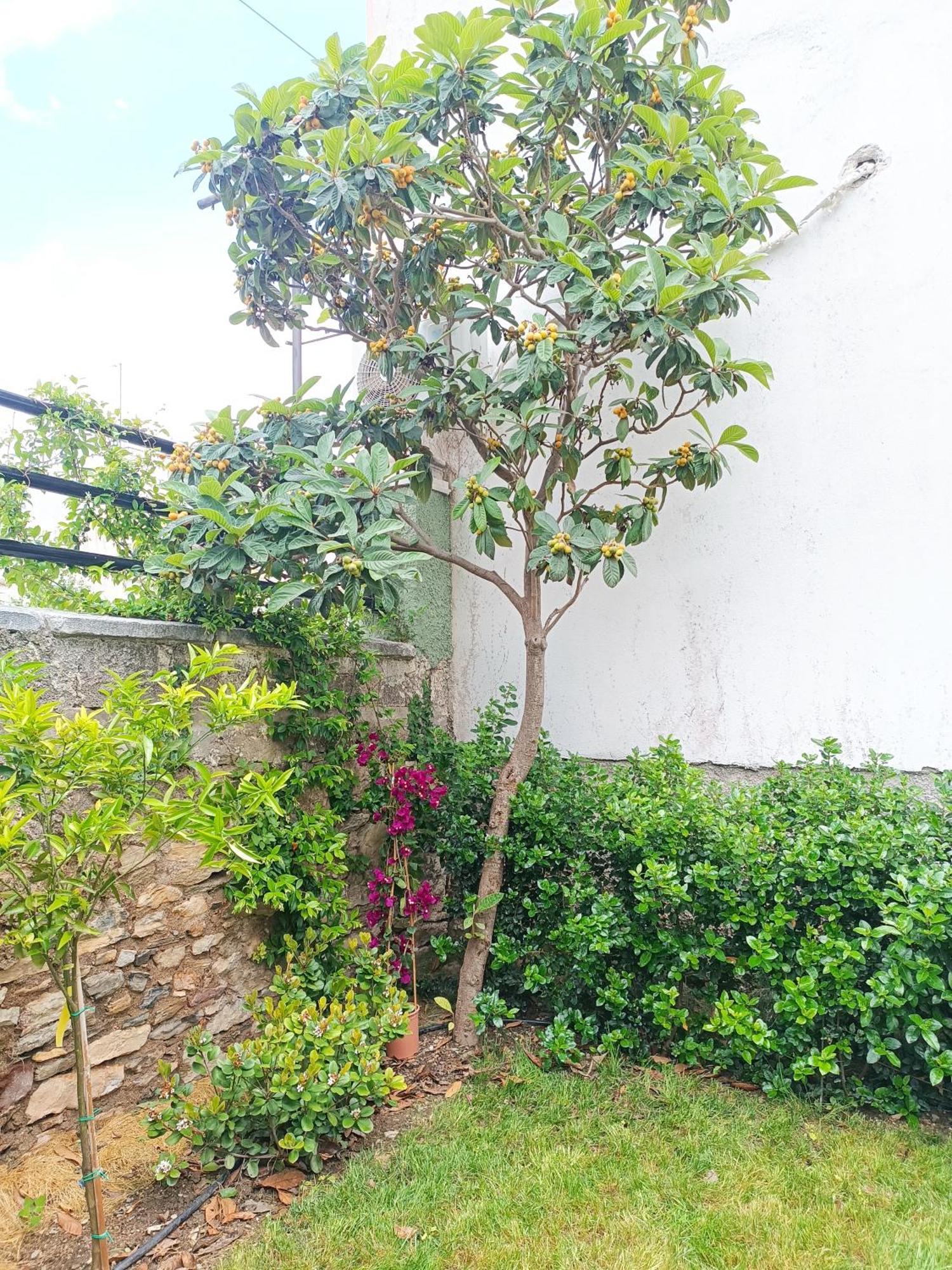 Betty'S Garden House Villa Nea Anchialos Bilik gambar