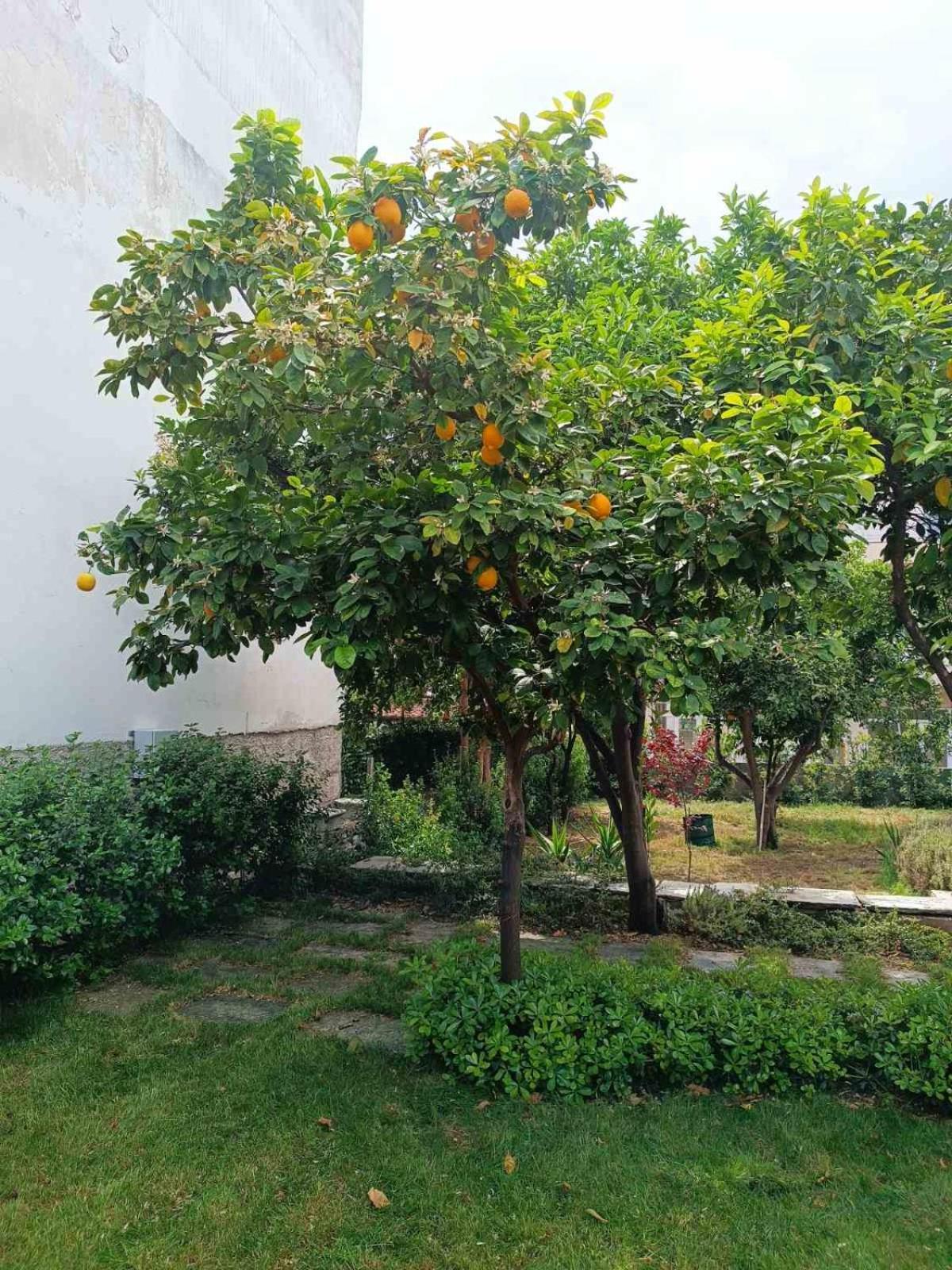 Betty'S Garden House Villa Nea Anchialos Luaran gambar