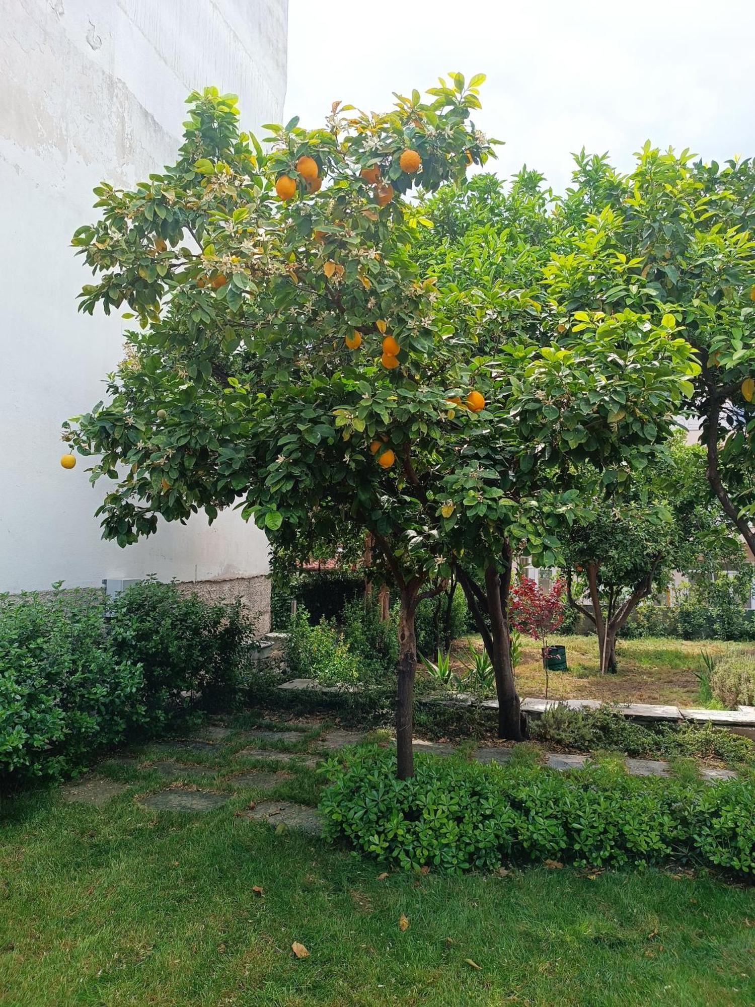 Betty'S Garden House Villa Nea Anchialos Bilik gambar